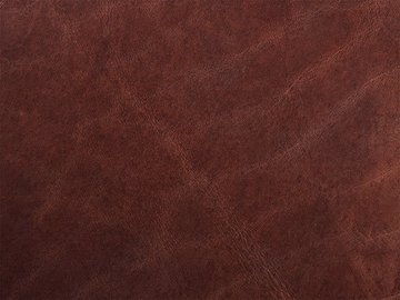 Primavera hnědá 02